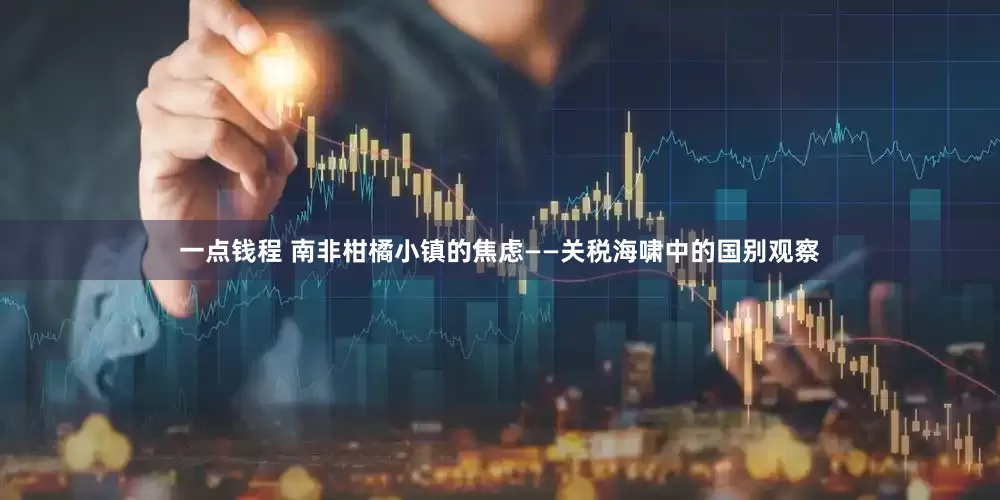 一点钱程 南非柑橘小镇的焦虑——关税海啸中的国别观察