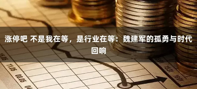 涨停吧 不是我在等，是行业在等：魏建军的孤勇与时代回响