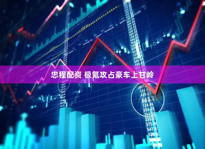 忠程配资 极氪攻占豪车上甘岭